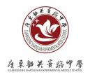 V|P(gun)ЌW(xu)LOGO